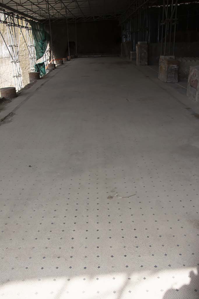 Villa dei Papiri, March 2019.
Looking west across walkway (a), the large loggia, with white and black mosaic floor.
Foto Annette Haug, ERC Grant 681269 DÉCOR.